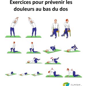 Image d'une série d'exercice pour prévenir les douleurs au bas du dos